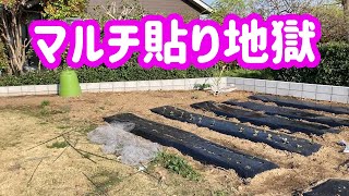 全面マルチは時間がかかる、、、撮影時間の確保ができませんでした、、、