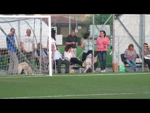 Coppa CSI Finale di Ritorno GS Flipper - Tevere Remo - Terzo Tempo