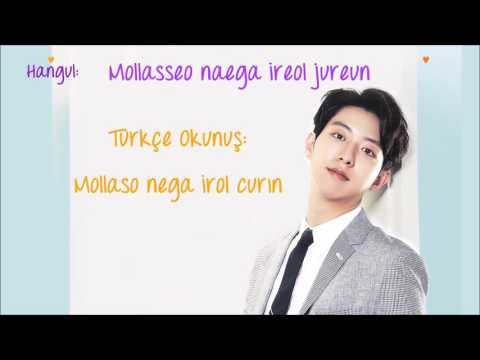 Lee Jungshin - Confession (Hangul Romanization & Türkçe Karaoke)