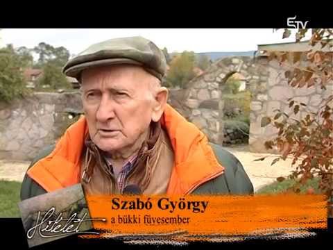 Hitélet 2015. november 22. – Erdélyi Magyar Televízió