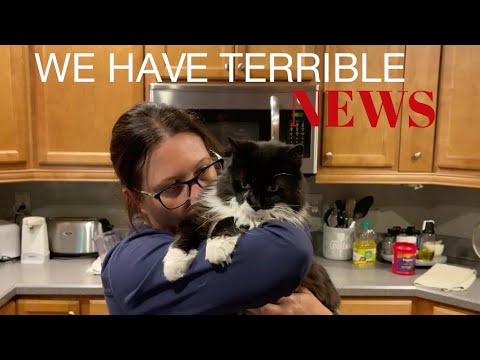 WE HAVE TERRIBLE NEWS