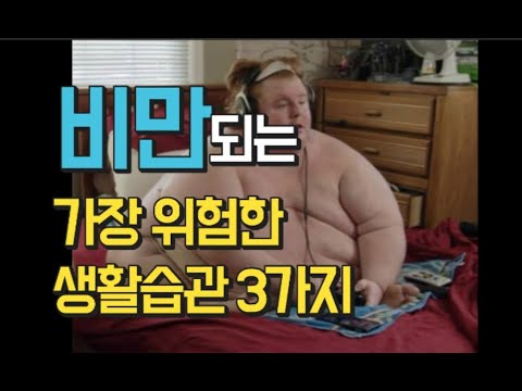 미국에서 살면 살찔 수 밖에 없는 이유 3가지