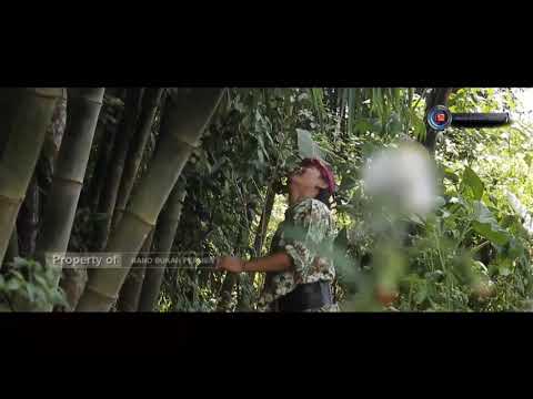 cak-silo-persiapan-masak-lodeh-bahan-bahan-disiapkan-langsung-dari-kebun-belakang-rumah-wenaaaak