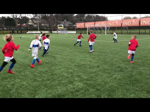 Levi assist roosendaal