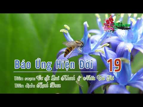 Báo Ứng Hiện Đời Tập IV - 2