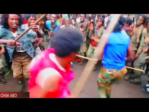 Ajaaja Olaanaa ABO WBO jaal marroo 💪 yeroo jaallan dirree qabso Moonaa waraana keessa fana dhiichisu