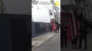 SFPD & CHP Interagency Teamwork Leads to Gun Arrest
