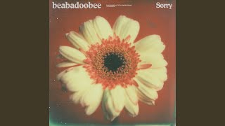 Sorry (Alternate Edit) Music Video
