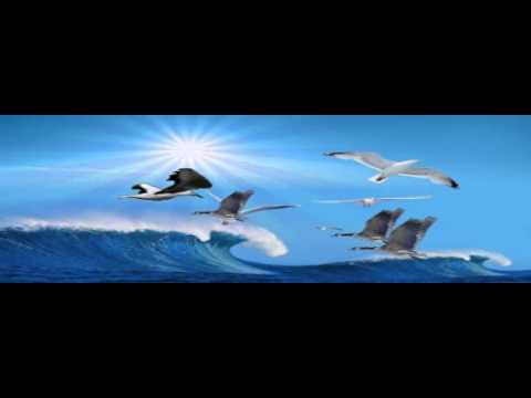 Vinko Coce i Ivana Kovač- Dalmatinci pivaju najlipše na svit