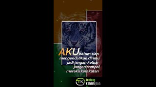 Download lagu Story wa 30 detik khodam macan putih || story wa || mp3 Download lagu Story wa 30 detik khodam macan putih || story wa || mp3