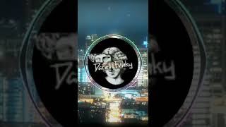 Download lagu DJ GOYANG DUMANG BUKAN KALENG KALENG X DIGELENG GELENG #djviraltiktok #djcampuranterbaru mp3