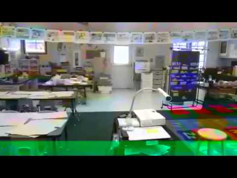 Ania Aarav school sandpiper