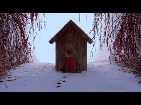 Video thumbnail for Transitions
