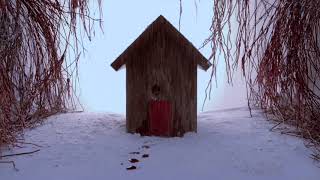 ZAO - Transitions (Official Video)