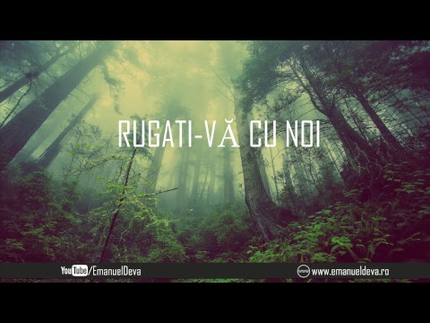 Duminică 03 Iunie 2018 seara