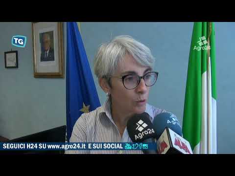 Angri. Salerno. Torna la notte bianca al cimitero