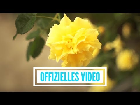 Duo Goldstars - Mein Himmelbett Hat Platz Für Zwei (offizielles Video)