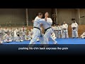 Taigyoku Kata Count 9 Bunkai