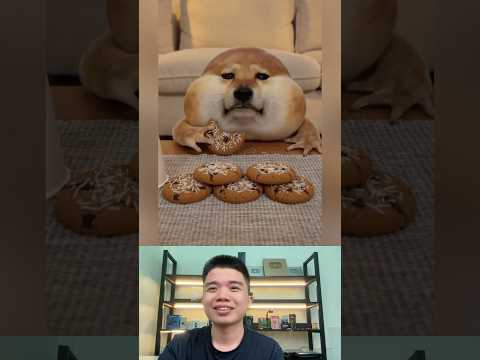 Đình Hiền Reaction: Chắc có mỗi mình thấy dễ thương. #dinhhien