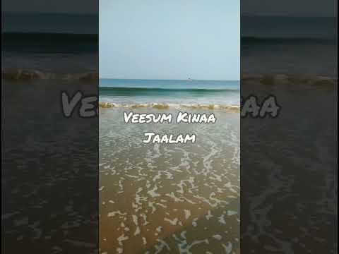 #naturevideo #beachvibes #naturelove #beaches #songslyrics #shorts #shortsvideo