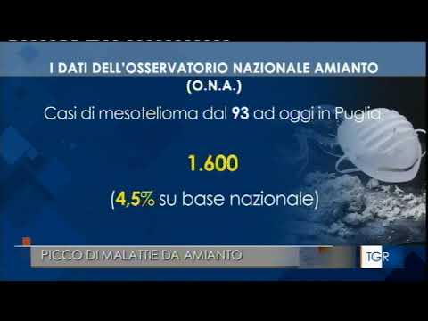 TGR Puglia edizione 19:30 del 27 Novembre 2021