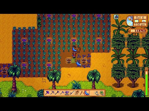 Stardew Valley 110 :: Planting Qi Beans