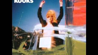 petulia the kooks mp3 petulia the kooks mp3