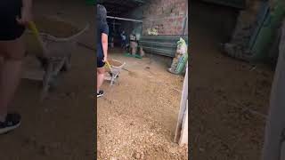 Download lagu MAKING MY HOUSE IN THE HOLIDAY mp3