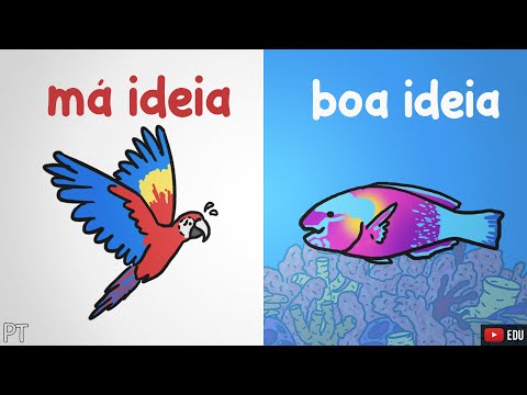 Como peixes coloridos escapam da morte certa | Minuto da Terra