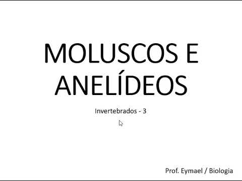 Moluscos e Anelídeos (Prof. Eymael - Biologia)