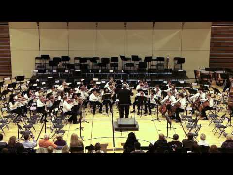 "Contrasts" in e-minor - Music For Youth - 2013 Hersey String Festival