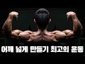 [추천운동] 어깨를 넓이려면 이 운동을 해라!