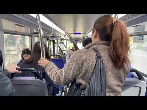 CDC/Forest Coach Lines MAN A95 ND 323 F #6931 (ZF-EcoLife)