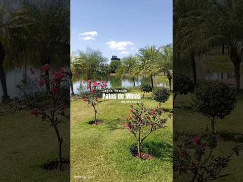 PEIXES NA LAGOA GRANDE PATOS DE MINAS MG #patosdeminas #vlog