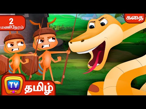 பாம்பும் எறும்புகளும்  (Snake and The Ants) - சாகச கதைகள் தொகுப்பு - ChuChu TV