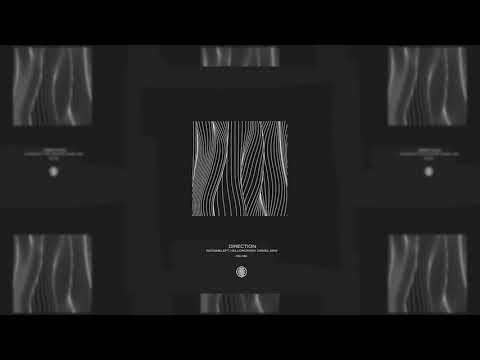 Hellomonkey & Daniel Nike & NoNameLeft - Direction (Original Mix)