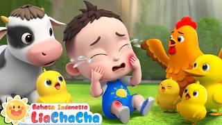 Download lagu 🔴【LIVE】Bayi Terluka | Bermain Aman di Taman | Boo Boo Song | Lagu Anak | LiaChaCha Bahasa Indonesia mp3