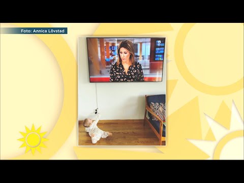 Rania ger bebisen arga blicken : ”Neeej, det är inte på riktigt!” - Nyhetsmorgon (TV4)