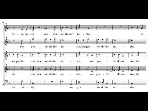 Cipriano de Rore: Solea lontana - Blue Heron