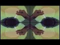 Dali's Sunflower | Shonen Knife