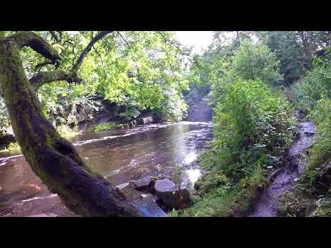 Rukins Campsite - Keld North Yorkshire
