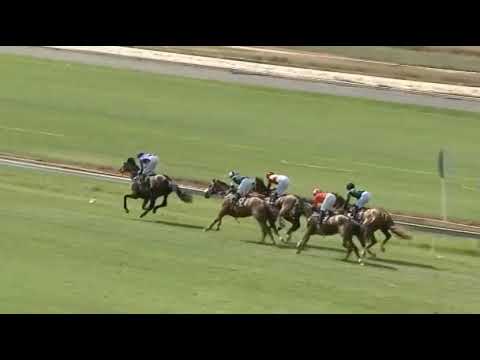 HAVE A GO JO - Turffontein 31/12/20