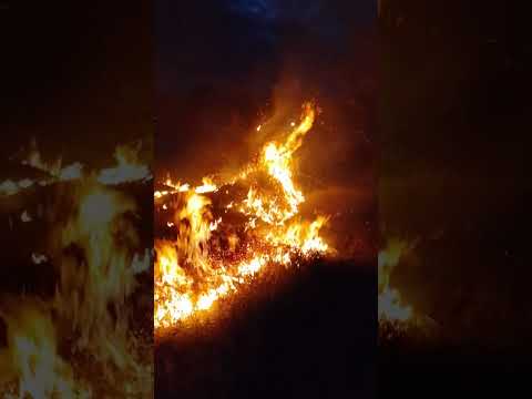 incendio en la plata huila