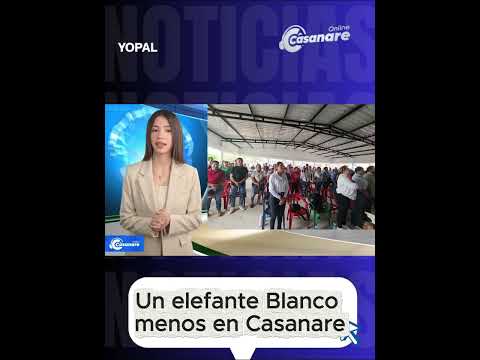 #casanareonline ||   Gobernación y Alcaldía de Tauramena reactivan construcción de puente sobre el r
