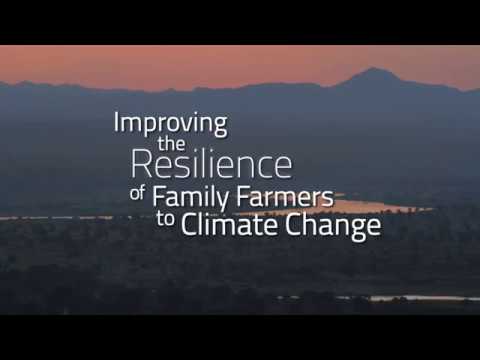 Improving the resilience of family farmers to climate change