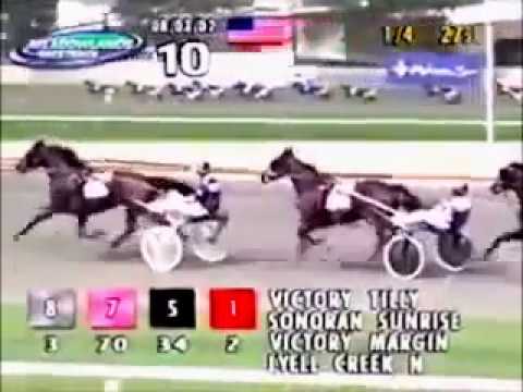 2002 Meadowlands VICTORY TILLY Nat Ray Final World Record Stig Johansson