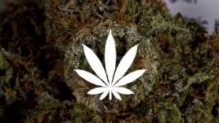 Loyle Carner - Mufasa (Prod. CoryaYo)