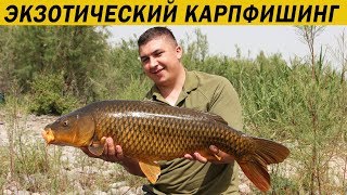 Озеро кинерет рыбалка