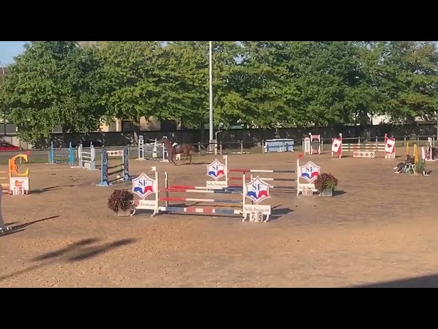 vends jument cso 9 ans super génétique