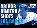 Grigor Dimitrov Best Shots & Points vs Johnson | Los Cabos 2019